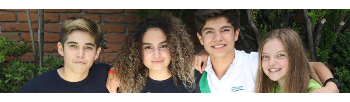 Banner ceam